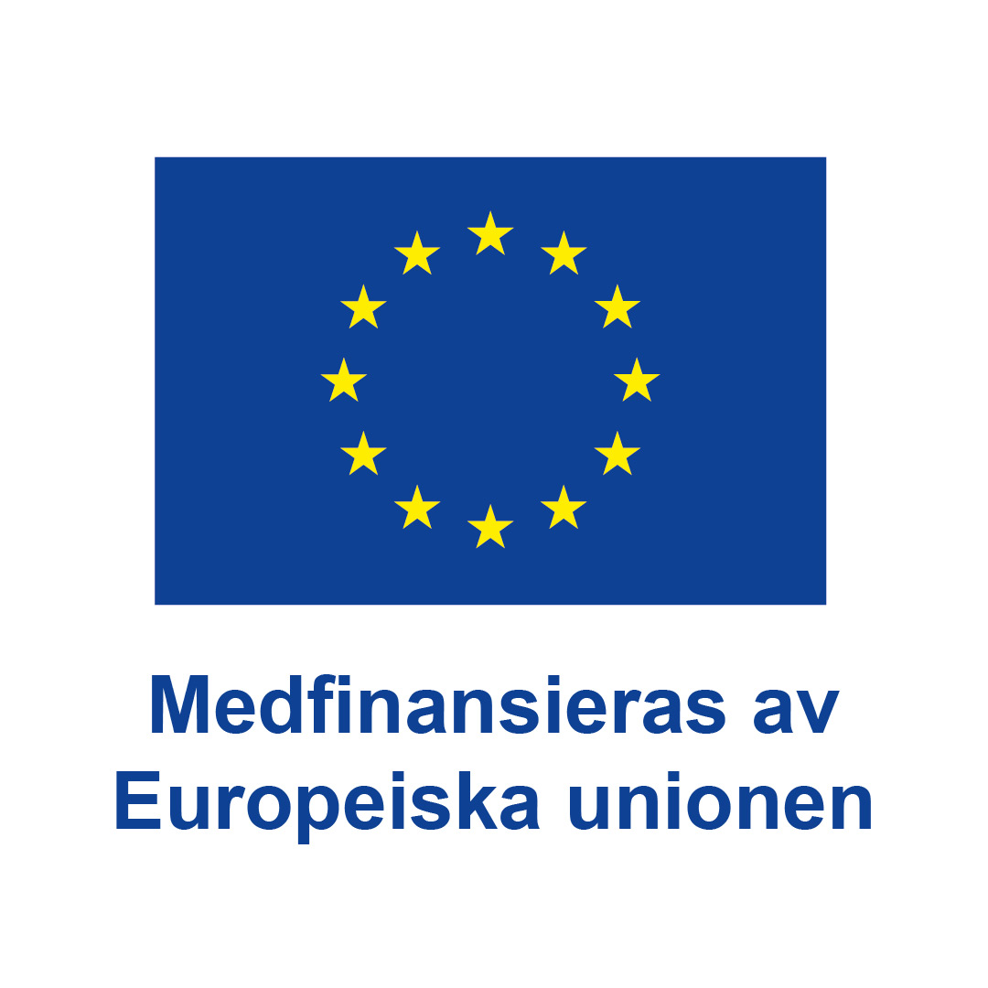 Logga för medfinansiering från Europeiska unionen