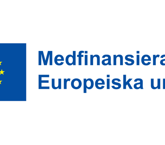 Logotyp EU