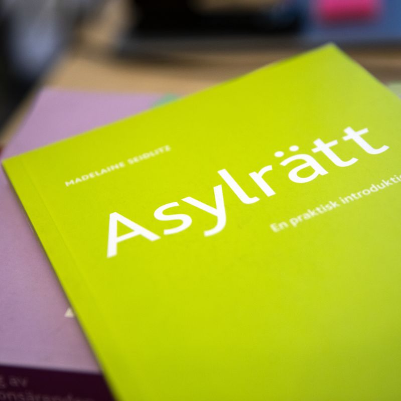 en pärm om asylrätt